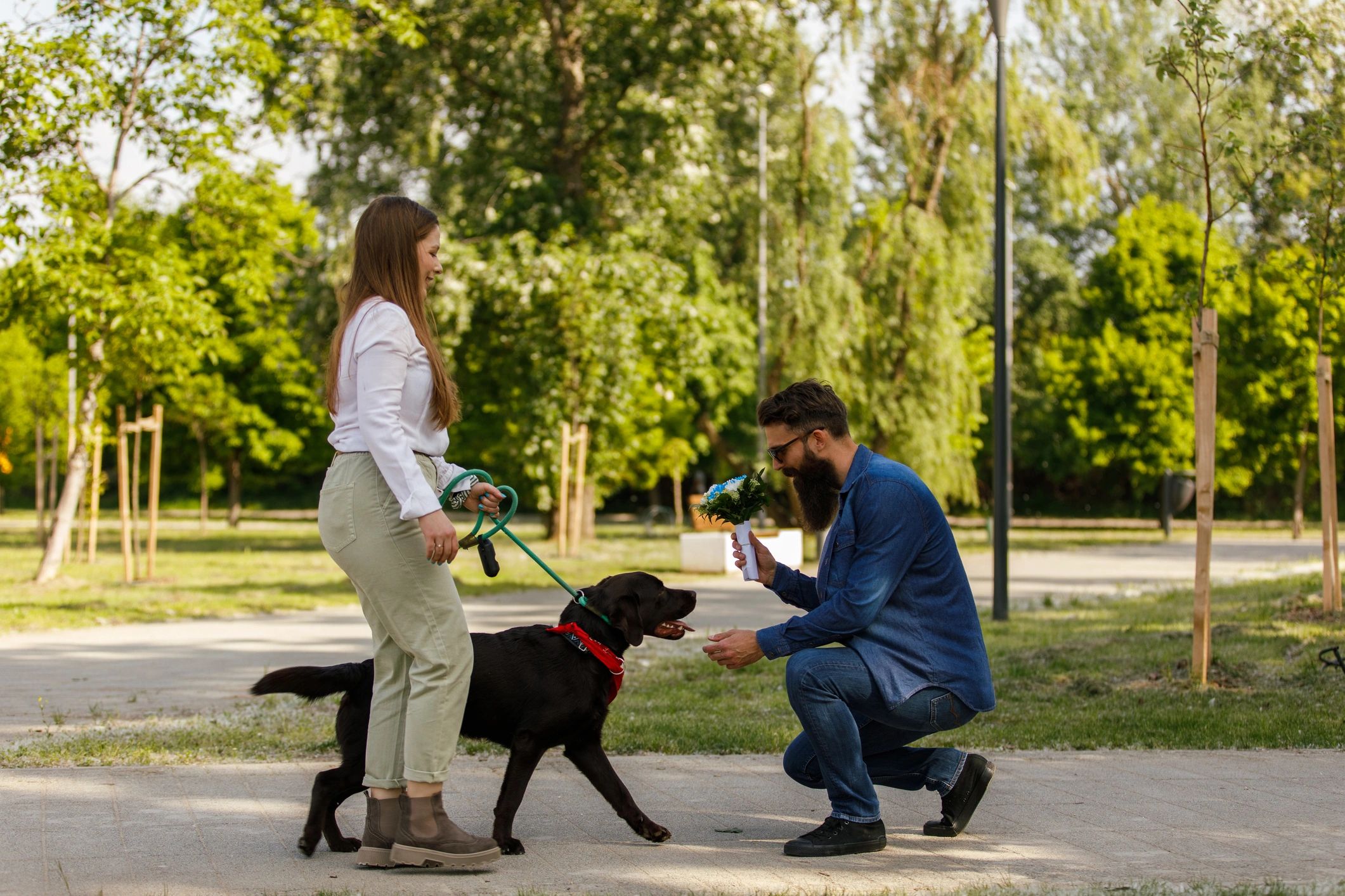 Young man greeting a dog at a park
