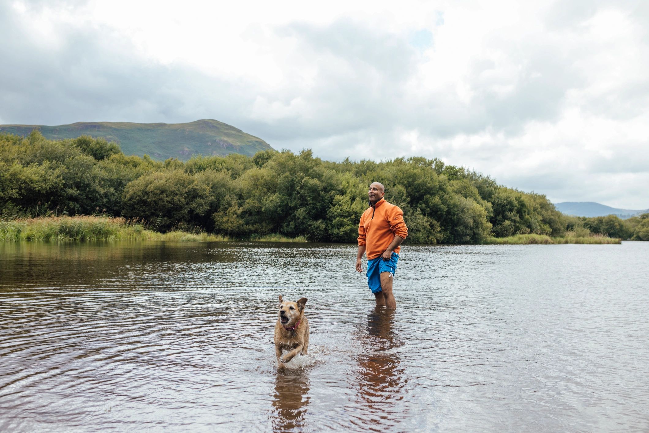 Dog enjoying an outdoor walk with its handler
