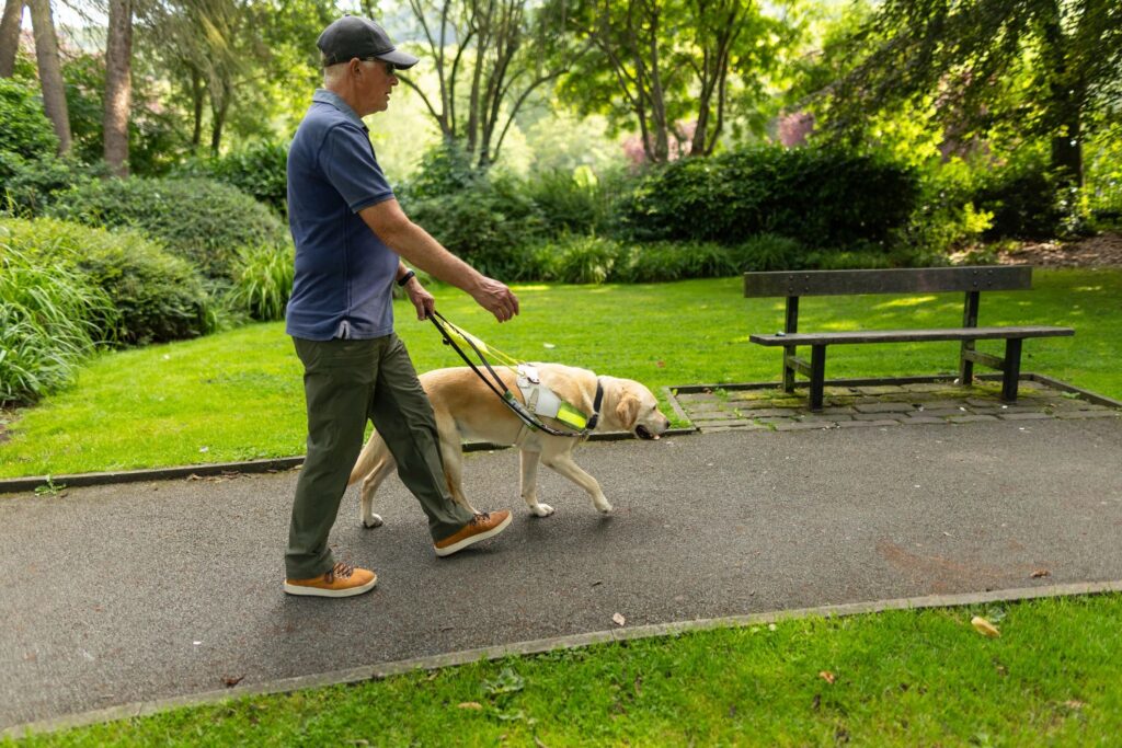 How Paw and Poo Makes Dog Walks Easier for Busy Pet Owners