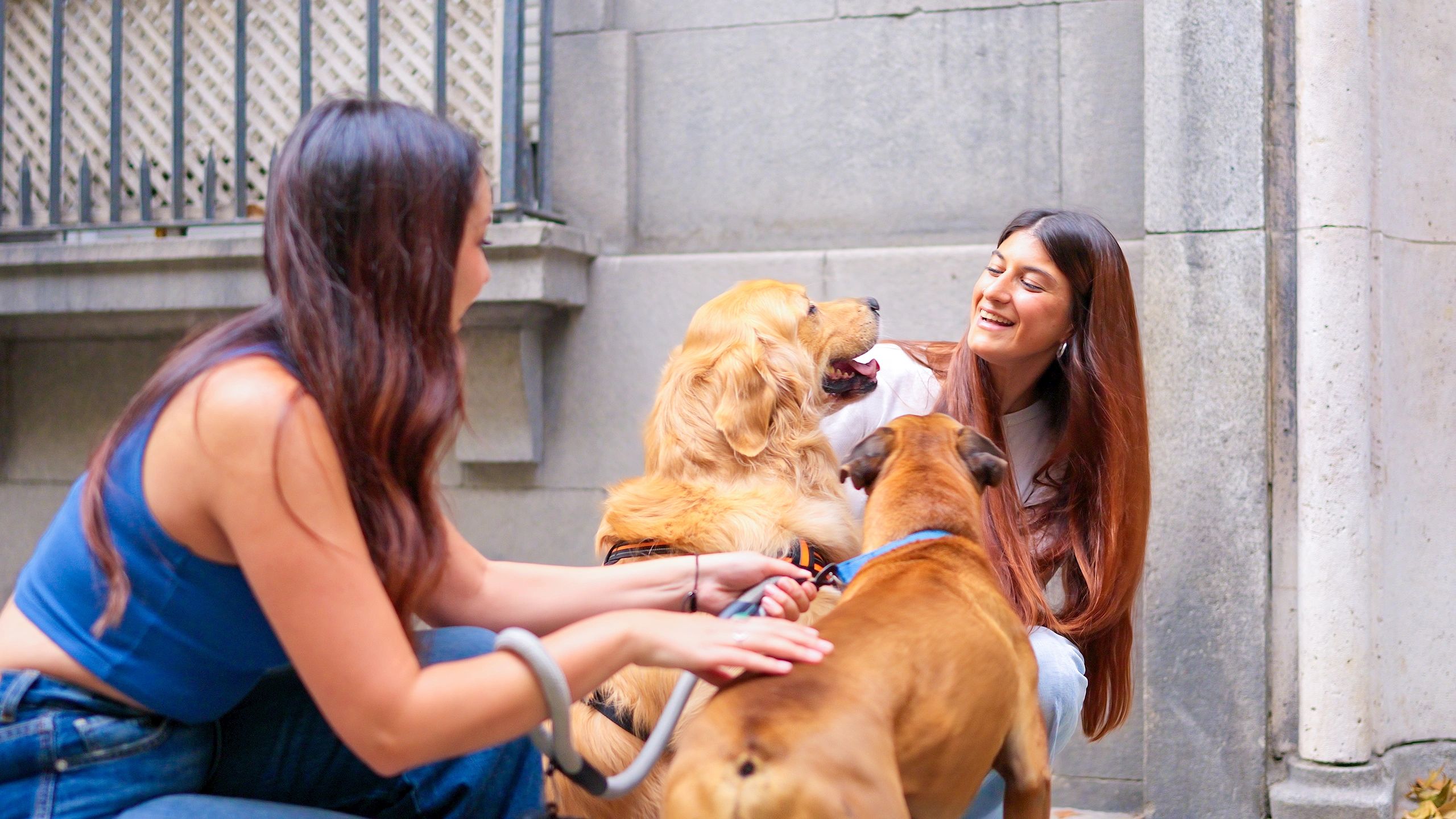Women spending time outdoors with their dogs