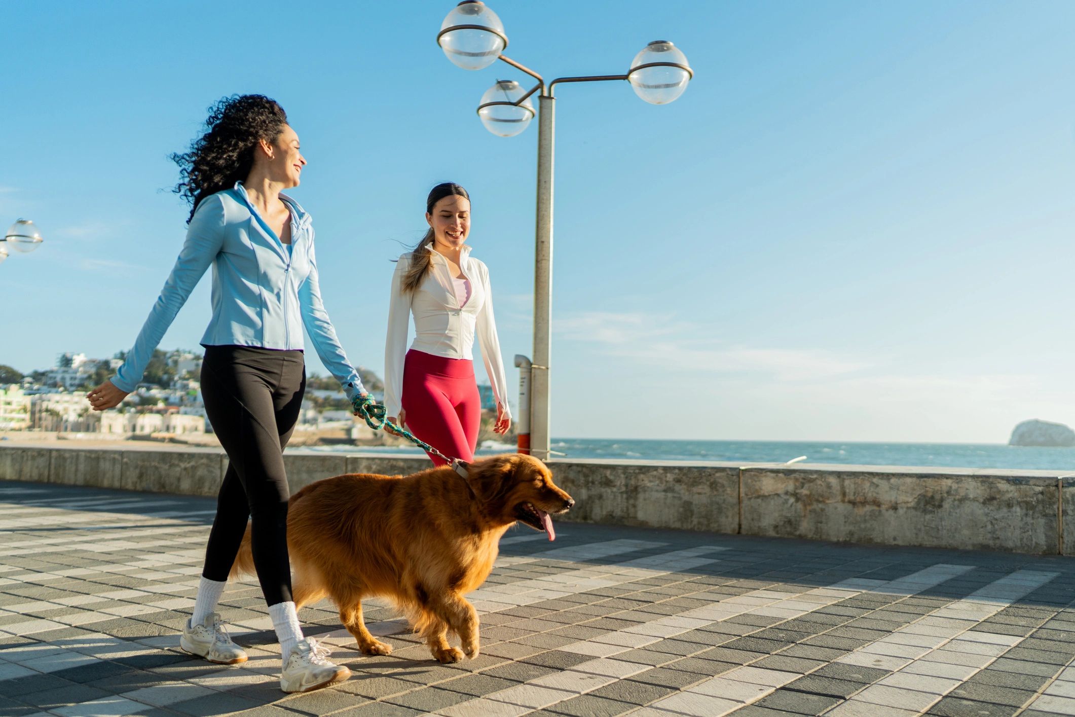 Pet owners walking with a dog outdoors
